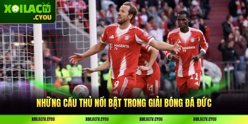 Các ngôi sao hàng đầu thế giới thi đấu tại Bundesliga